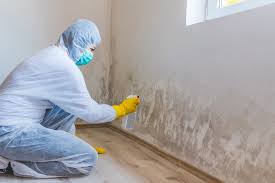 Hebron, MD Mold Removal Company